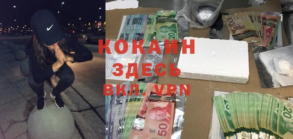 твердый Аркадак