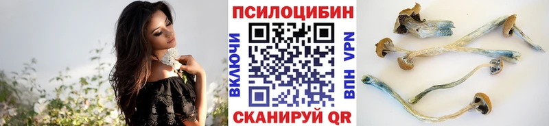Галлюциногенные грибы ЛСД  Купить  Кизляр 